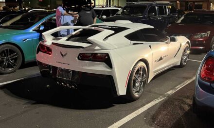 ეს C7 Corvette Stingray მფლობელმა ძლიერ უცნაურად გადააკეთა